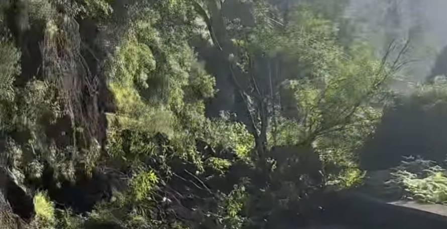 Muro impediu uma tragédia