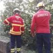 Queimada na Ribeira Brava mobiliza bombeiros