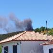 46 bombeiros com 12 viaturas ainda combatem incêndio