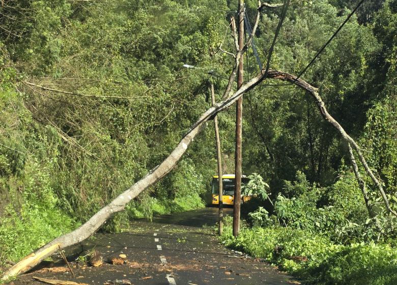 Autocarro retido há várias horas no Curral dos Romeiros