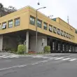Ninhada de gatos abandonada no quintal de uma casa