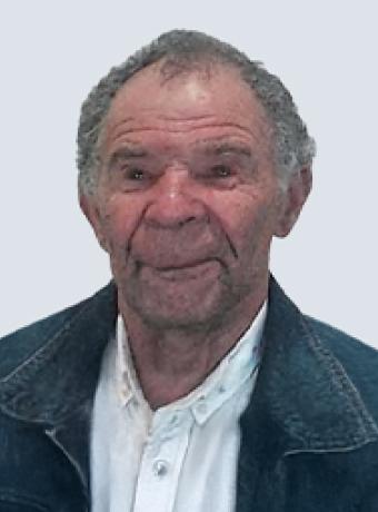 Manuel Estêvão Fernandes