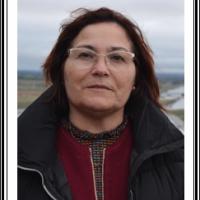 Lucinda Franco Teixeira Félix Vieira