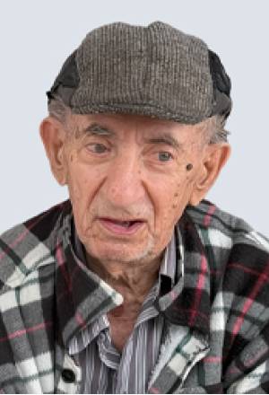 António Ivo Ribeiro