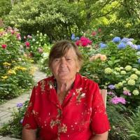 Helena Correia Mano de Jesus