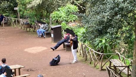 Homem que cantava e tocava nas Queimadas foi identificado pela Polícia Florestal