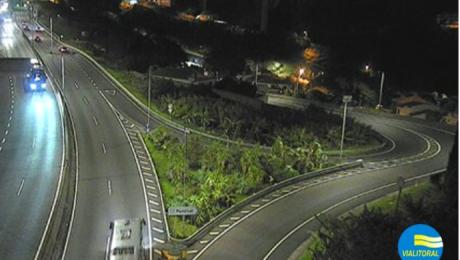 Condutor atropela cão à entrada da via rápida e abandona local