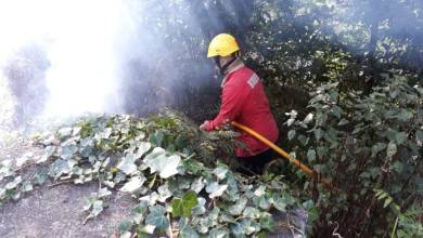 Incêndio na Ribeira Brava