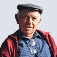 José Alcino Quintal de Góis