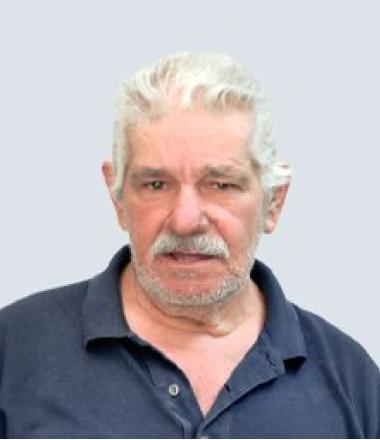 Manuel Figueira Luís