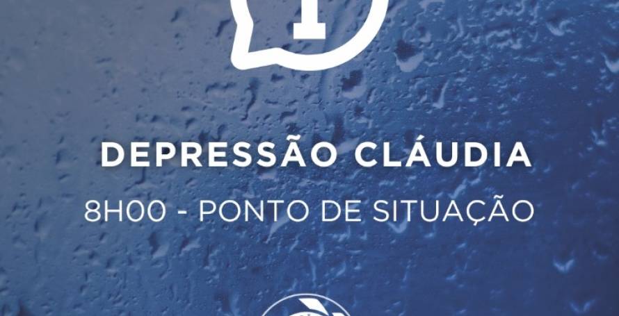 32 ocorrências, a maioria quedas de árvores, algumas delas em cima de carros e casas