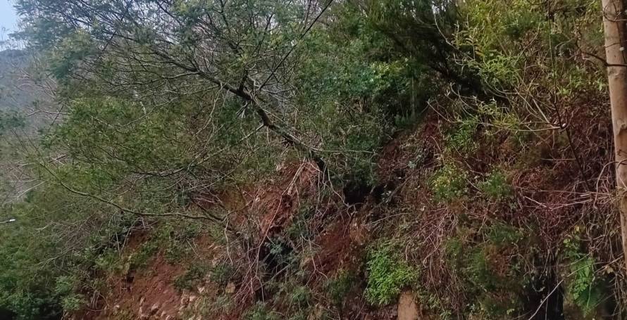 Insegurança na estrada preocupa moradores do sítio da Fajã da Cinza