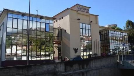 Drone preso numa árvore mobiliza auto-escada e quatro bombeiros