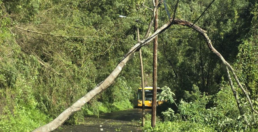 Autocarro retido há várias horas no Curral dos Romeiros
