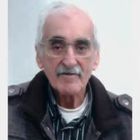 João Luís de Sousa Gonçalves