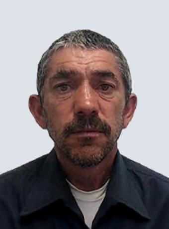Manuel Pestana Ferreira