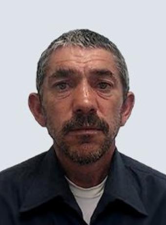 Manuel Pestana Ferreira