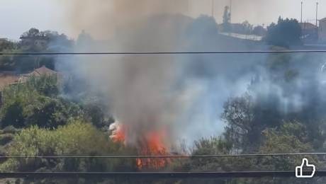 Incêndio está perto de casas; 40 bombeiros no local