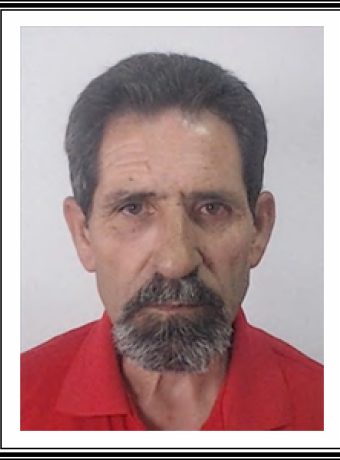 Luís Rodrigues Fernandes