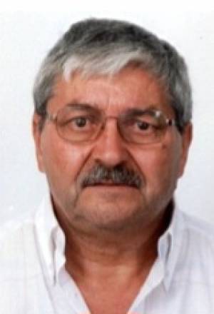 Manuel Martinho Carvalho de Viveiros