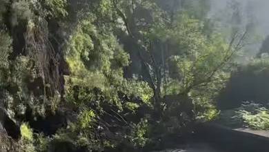 Muro impediu uma tragédia