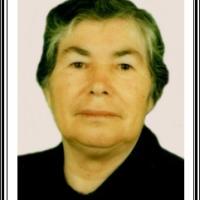 Rosa Perestrelo de Freitas Silva