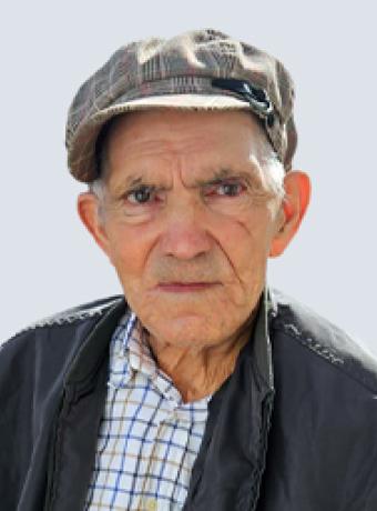 Domingos da Silva Fineza