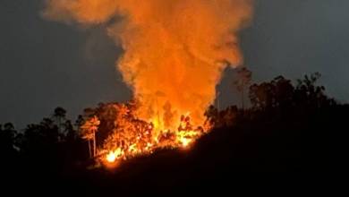 Incêndio com alguma dimensão longe de estrada na Ponta do Sol
