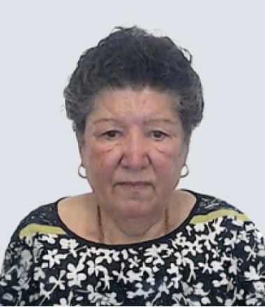 Maria Pereira de Abreu Góis