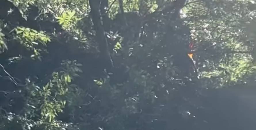 Derrocada atinge carro e há pessoas no interior