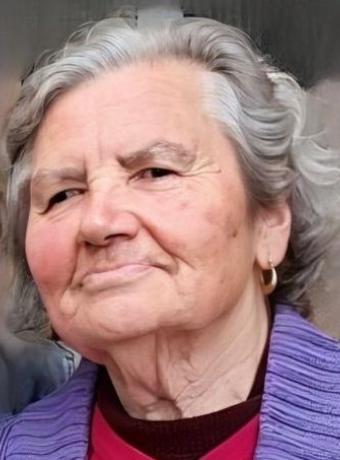 Maria Irene Gomes Luís