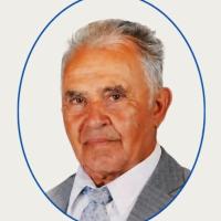 Manuel Joaquim Mendes