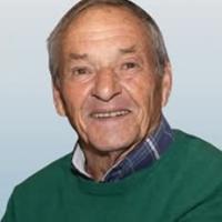 Avelino Rodrigues de Menezes