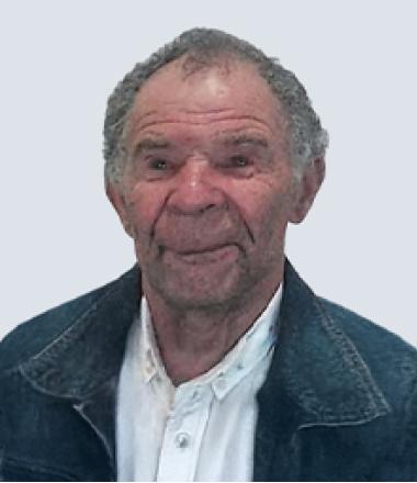 Manuel Estêvão Fernandes