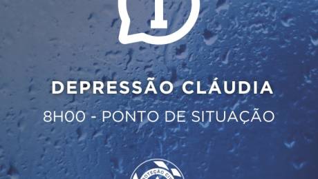 32 ocorrências, a maioria quedas de árvores, algumas delas em cima de carros e casas