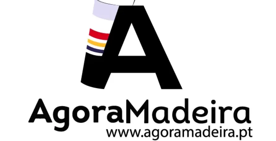 Queda de árvore na estrada