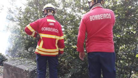 Queimada perto de casas mobiliza bombeiros