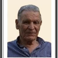Manuel Estevão Pereira Sardinha