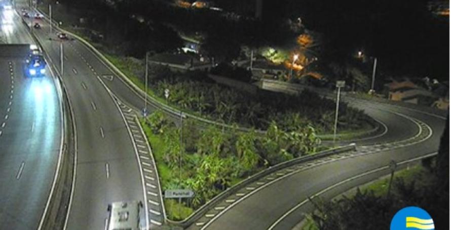 Condutor atropela cão à entrada da via rápida e abandona local