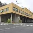 Cágado ferido num ribeiro salvo pelos bombeiros