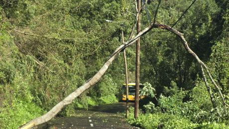 Autocarro retido há várias horas no Curral dos Romeiros