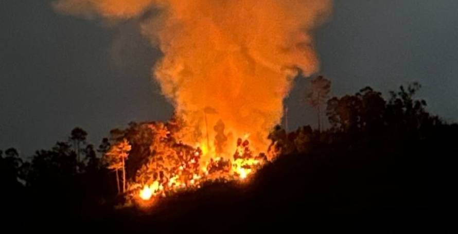 Incêndio com alguma dimensão longe de estrada na Ponta do Sol