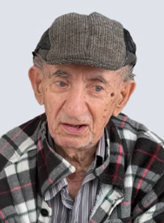 António Ivo Ribeiro