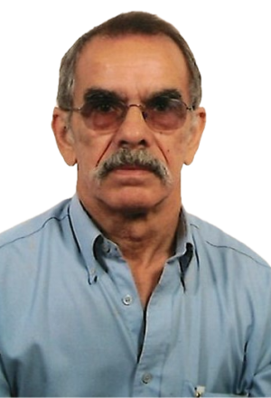 José Maria Ferreira da Silva