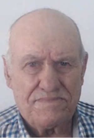 Domingos Ferreira
