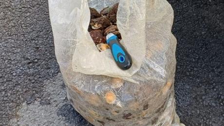 Apanhado e multado homem com 16 quilos de lapas frescas