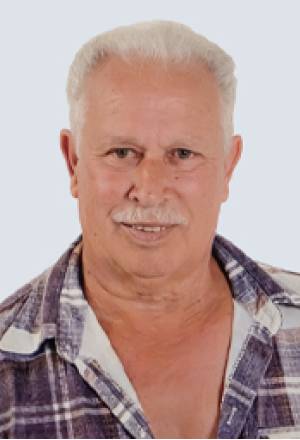 Manuel Luís de Faria Júnior