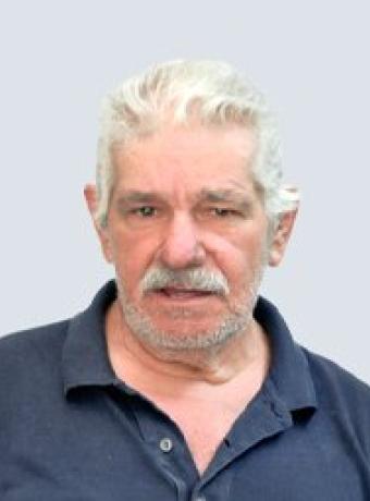Manuel Figueira Luís
