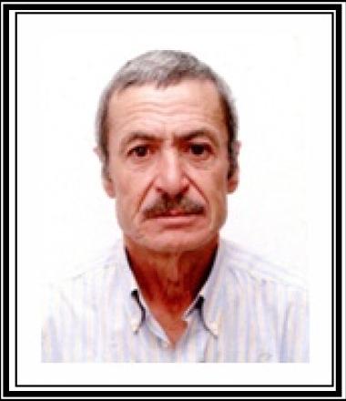 João Abel Franco Martins