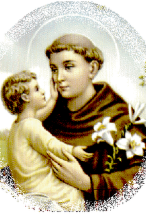 João Luís de Gouveia